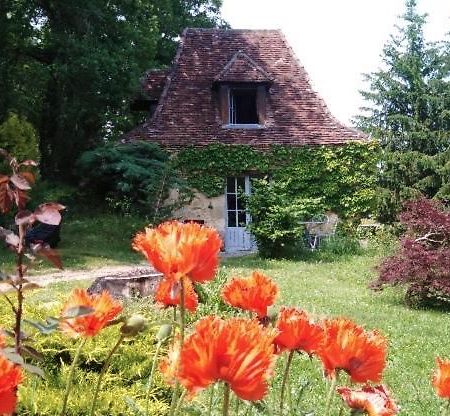 Petite Maison en Périgord Noir Plazac Exterior foto
