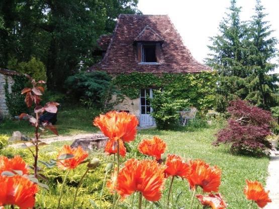 Petite Maison en Périgord Noir Plazac Exterior foto